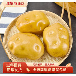 Simulated Potato Model Fake Potato Fruit and Vegetable Children's Cognitive Food Farm Decoration Props Photography Props