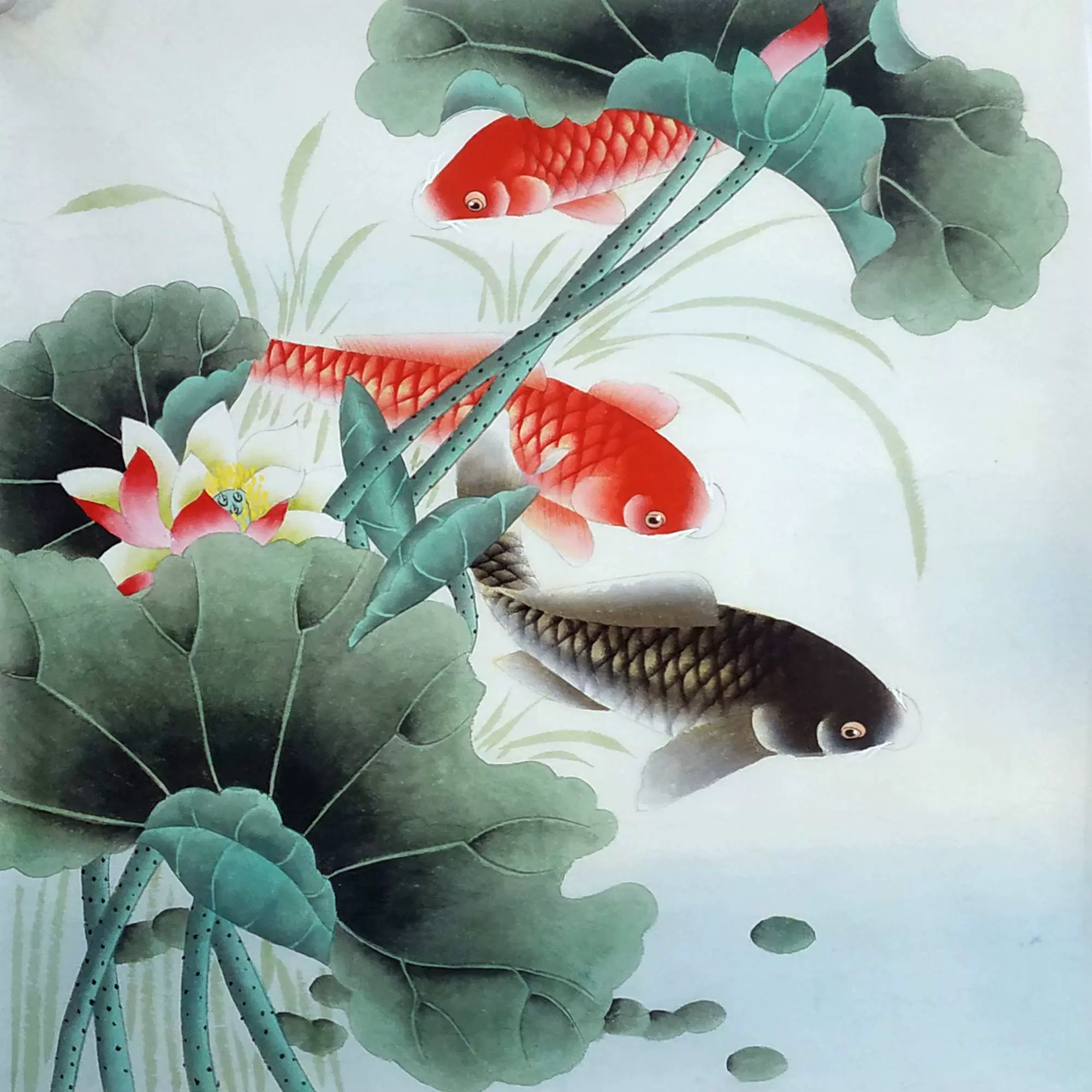 中国古美術・荷花鯉鱼図三尺画芯・啓功印款・水墨画・純手描き・文房具・宣紙・带水印 中国古美術・荷花鯉鱼図三尺画芯・啓功印款・水墨画・