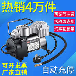 220V Household Dual-Cylinder Electric Air Pump for Car Tires, Basketballs, Air Pillows, and Swimming Rings
