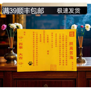 Pets were buried under the memorial ceremony of chicken legs, meat wings, memorial bowls for small dogs, paper food bowls, and seven cats.