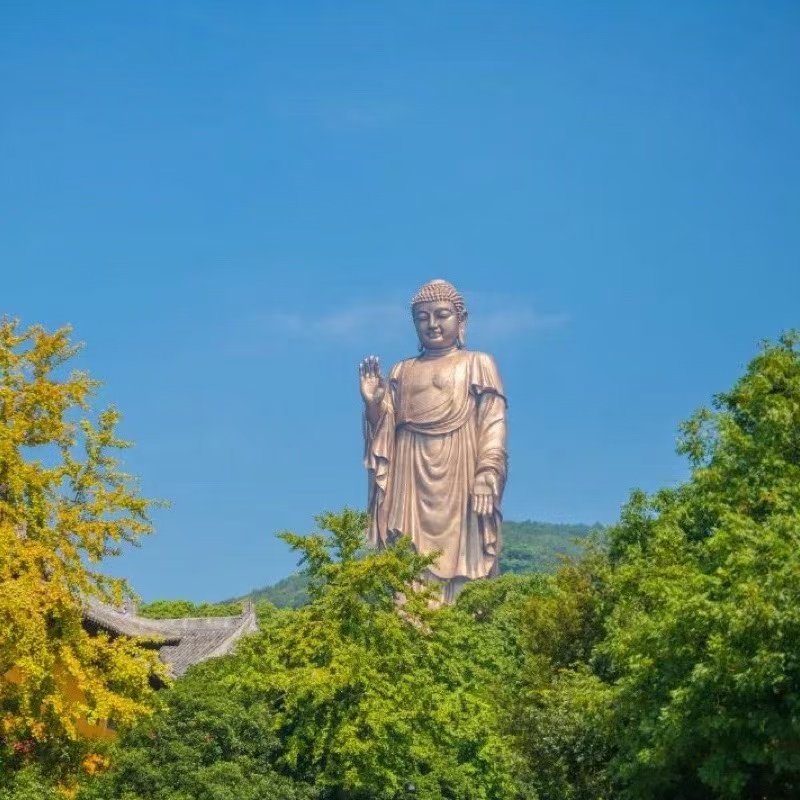 观红嘴鸥·赠冰箱贴·无锡灵山大佛梵宫鼋头渚太湖游船纯玩1日游