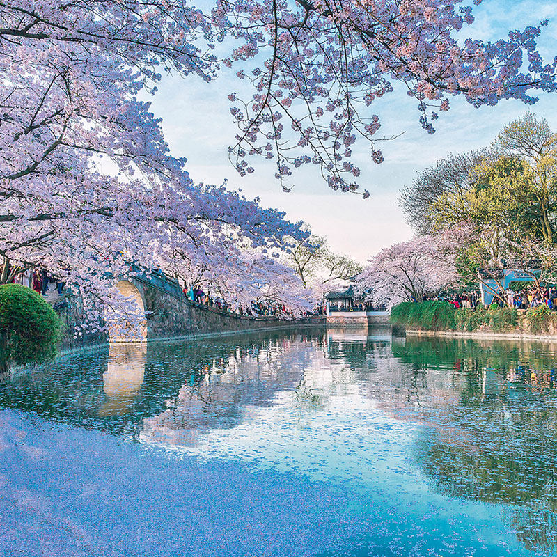 纯玩团·观鸟季·鼋头渚拈花湾日夜游一日游 门票全含