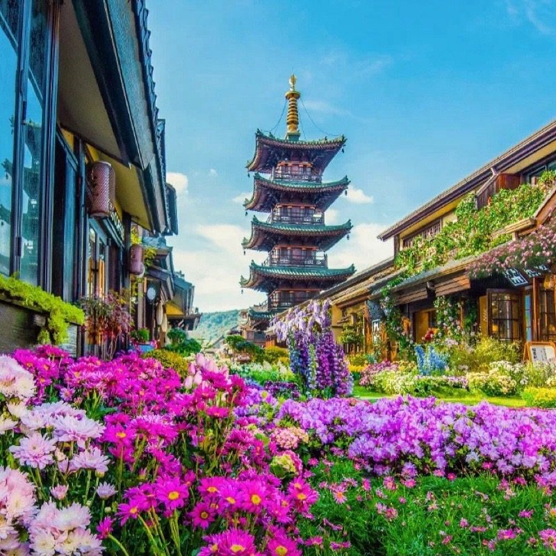 纯玩团·观鸟季·鼋头渚拈花湾日夜游一日游 门票全含