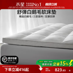 Mercury Home Textiles Five-Star Hotel White Goose down Mattress Feather Cushion Bed Pad Double-Layer Thickened Warm Mattress