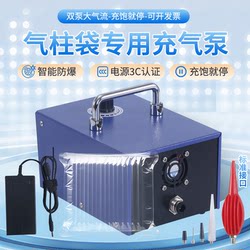 Air Column Bag Bubble Column Airbag Inflatable Pump Machine Air Pump for Red Wine, Milk Powder, Motor Oil, Fruit Air Column Electric 220V