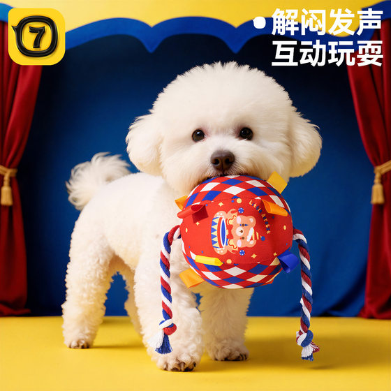 
New dog vocal toy ball dog plush toy cat supplies interactive bite-resistant pet companion toy