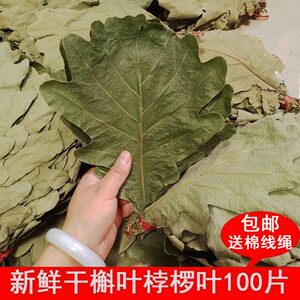 
Wild fresh rice dumplings leaves, dried rice dumplings, oak leaves, oak leaves, pineapple leaves, pineapple leaves, 100 large beard leaves per serving