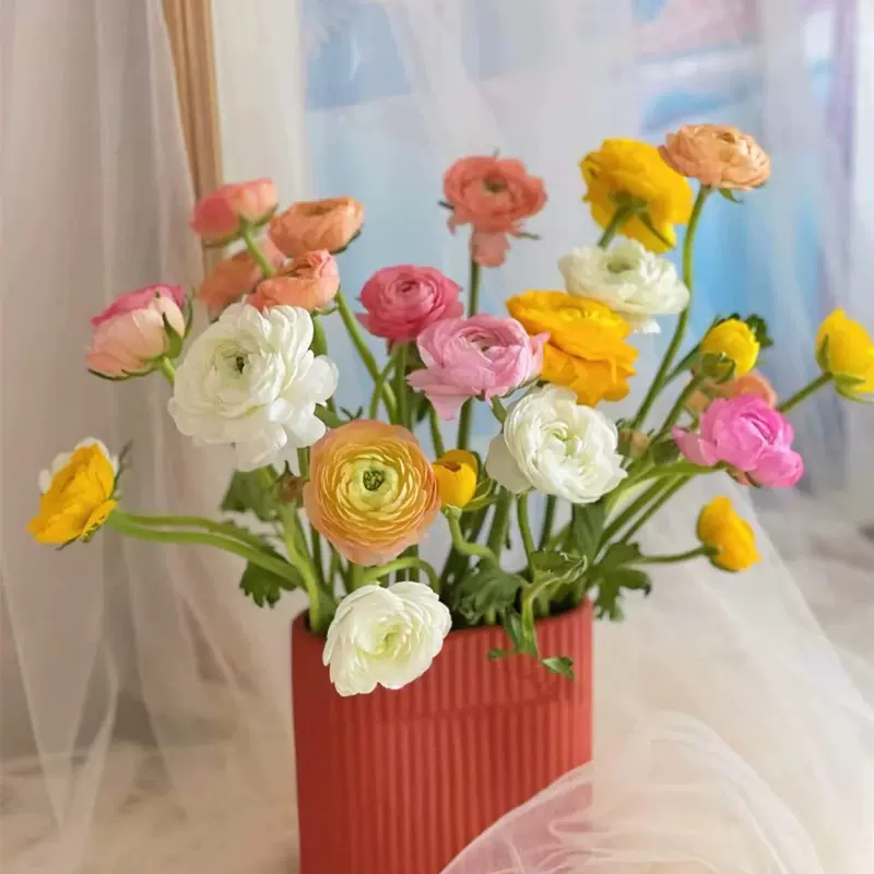 洋牡丹花毛茛鲜切花鲜花速递多色家用瓶插花艺插江浙