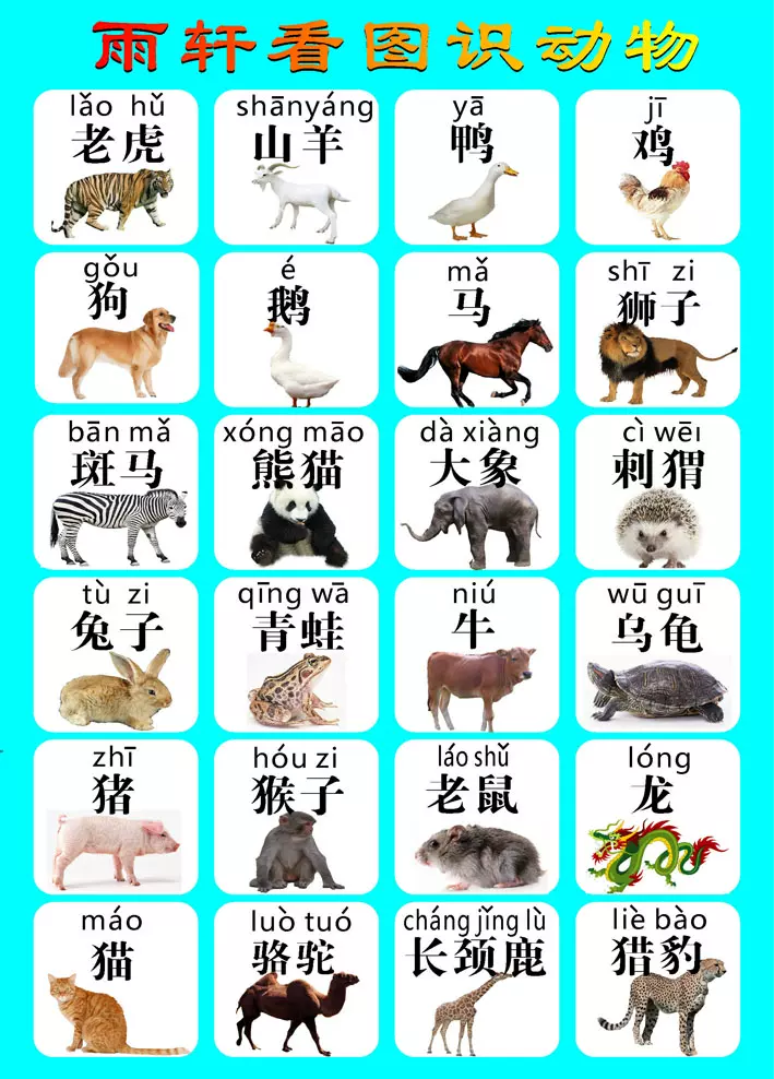 585画布海报印制展板写真喷绘494幼儿启蒙看图识动物