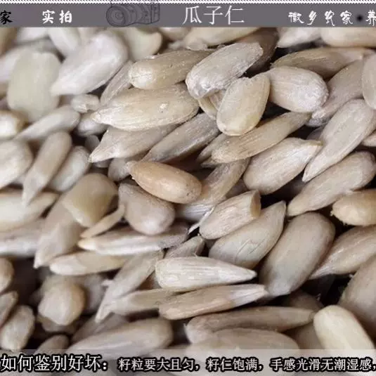 生熟葵花仁油葵仁生瓜子仁烘焙原料瓜子米南瓜子