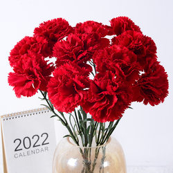 Mother's Day holiday flower carnations bunch of indoor and outdoor decoration