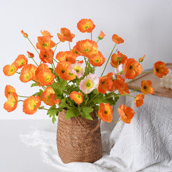 Decorative Jinhua Simulated Flowers Beile Poppy Flowers