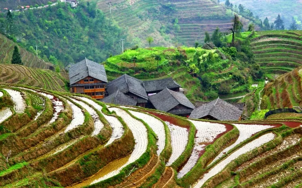 龙脊梯田风景名胜区-平安藏族梯田图片