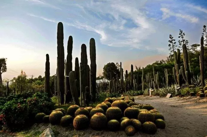 汇友户外·穿越万石植物园图片