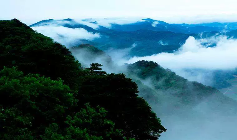 鸡冠山森林公园