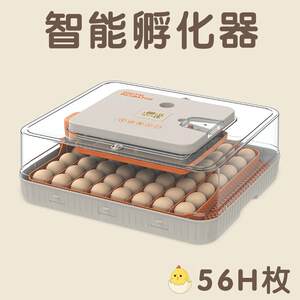 
Cross-border automatic small smart home humidity control multi-function dual power supply pet egg incubator incubator breeding equipment