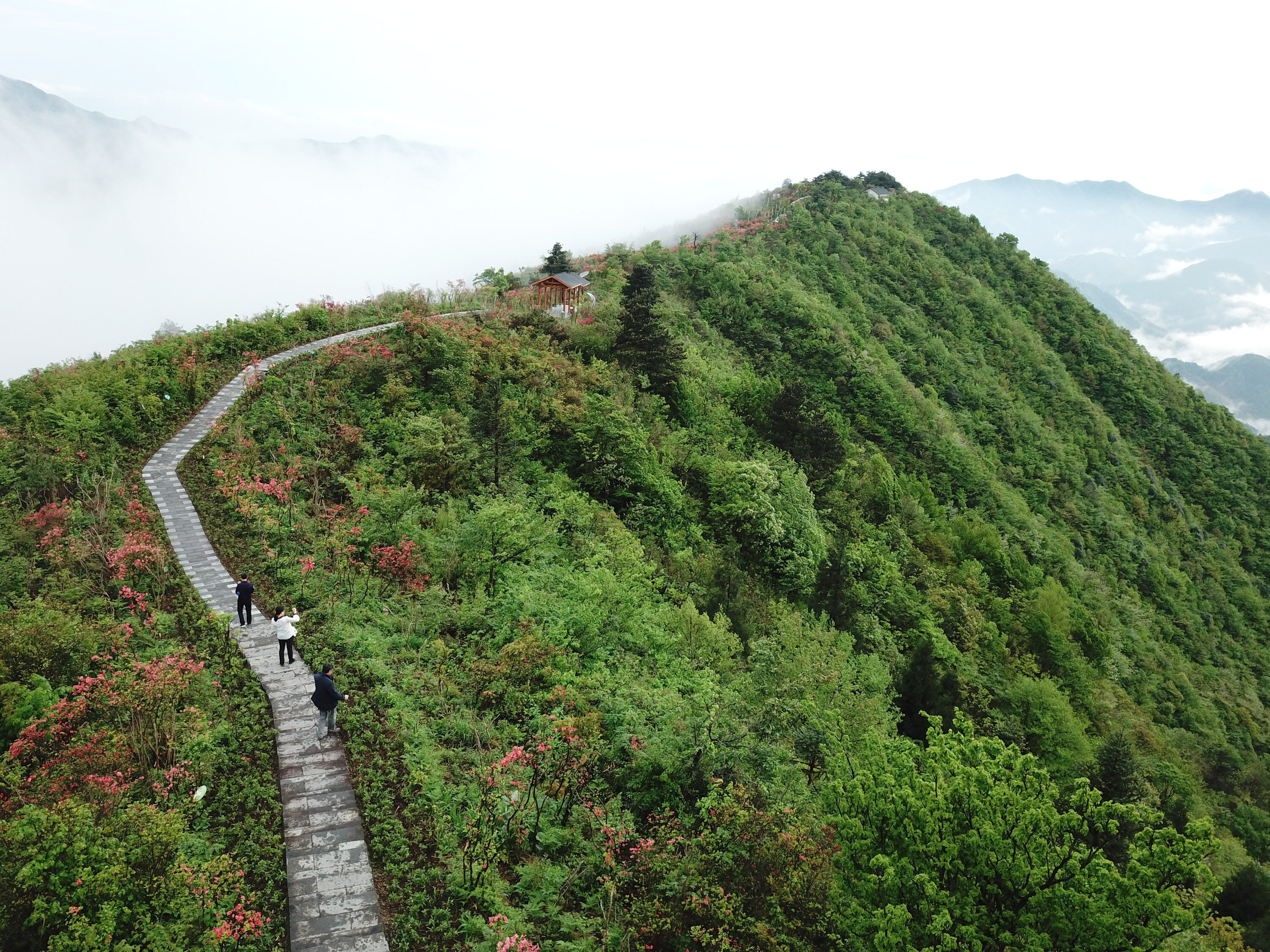 岭上花开农业公园景区天气预报