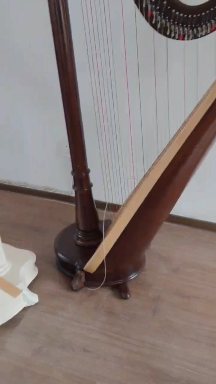 全新豎琴鴻名simson38弦40弦羅馬立柱扳鍵半音愛爾蘭琴-Taobao
