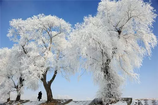 吉林大街图片