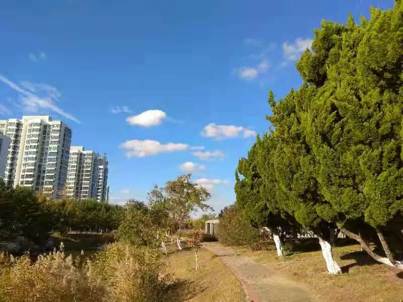 亚沙水生植物园图片