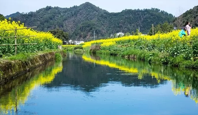 花田乡图片