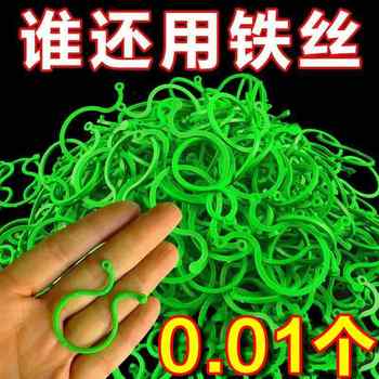 Climbing cucumber eggplant tied 8-character buckle plant
