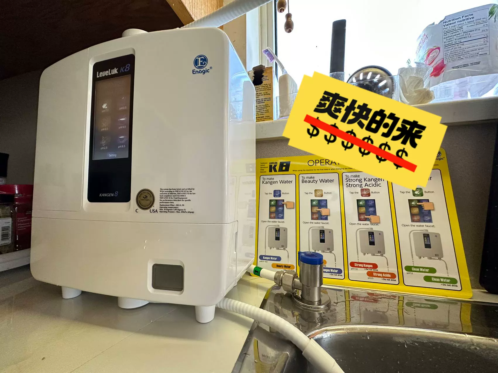 還元水 KANGEN water K8 Leveluk K8 Kangen Water Machine - The Mighty 8-Plate Anti