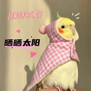 
Xuanfeng is a purely hand-raised pet bird that can whistle, has skills, is attached to people, is easy to feed, and is a yellow and reproducible bird.