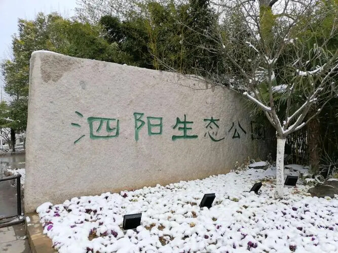 泗阳城市森林公园景区天气预报