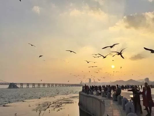 太阳湾海滨游乐场图片