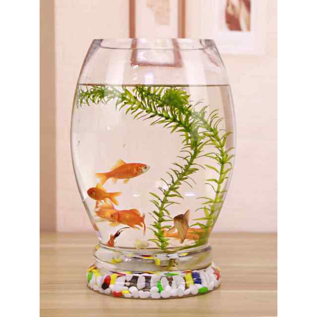 Picture Idea: Fish Tank Creative Small Living Room Office Desk Ecological Aquarium