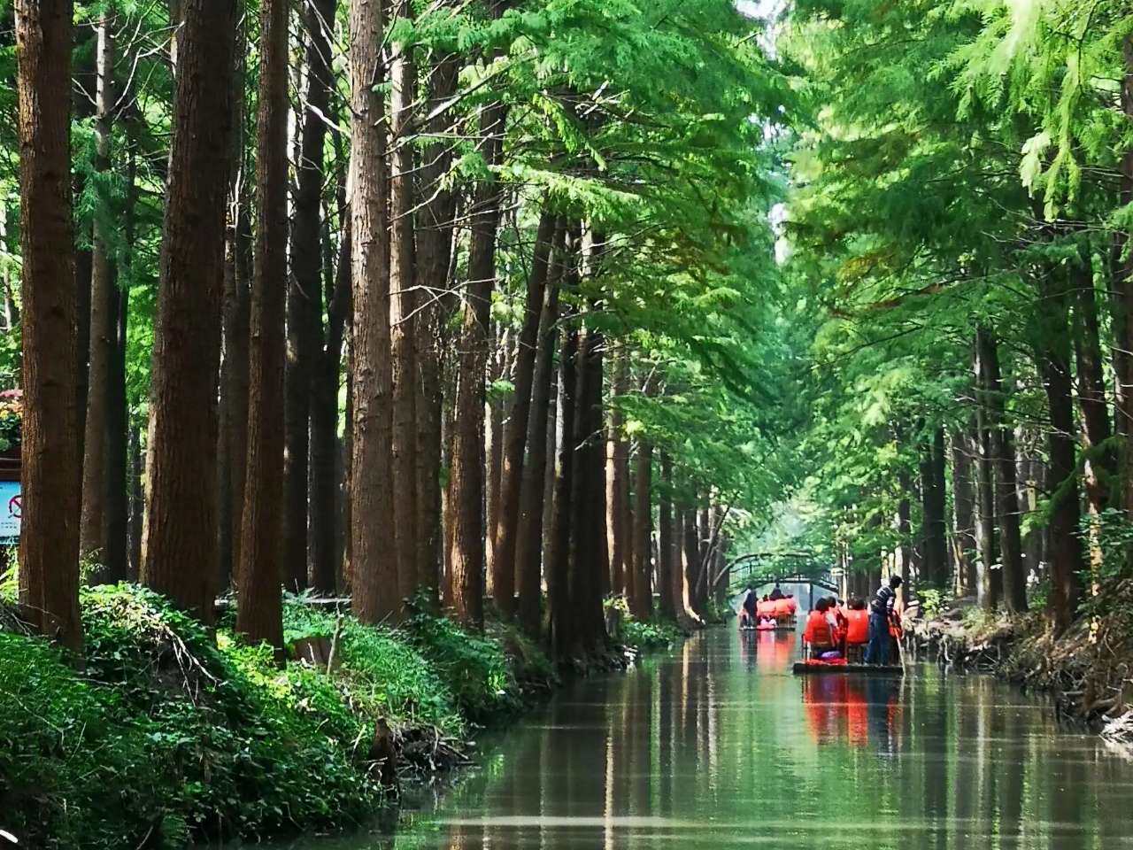 兴化市森林公园景区天气预报