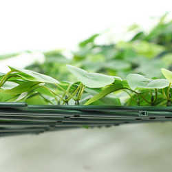 Plant artificial fence retractable leaf green simulation decorative courtyard fake fence fence plastic shielding plant