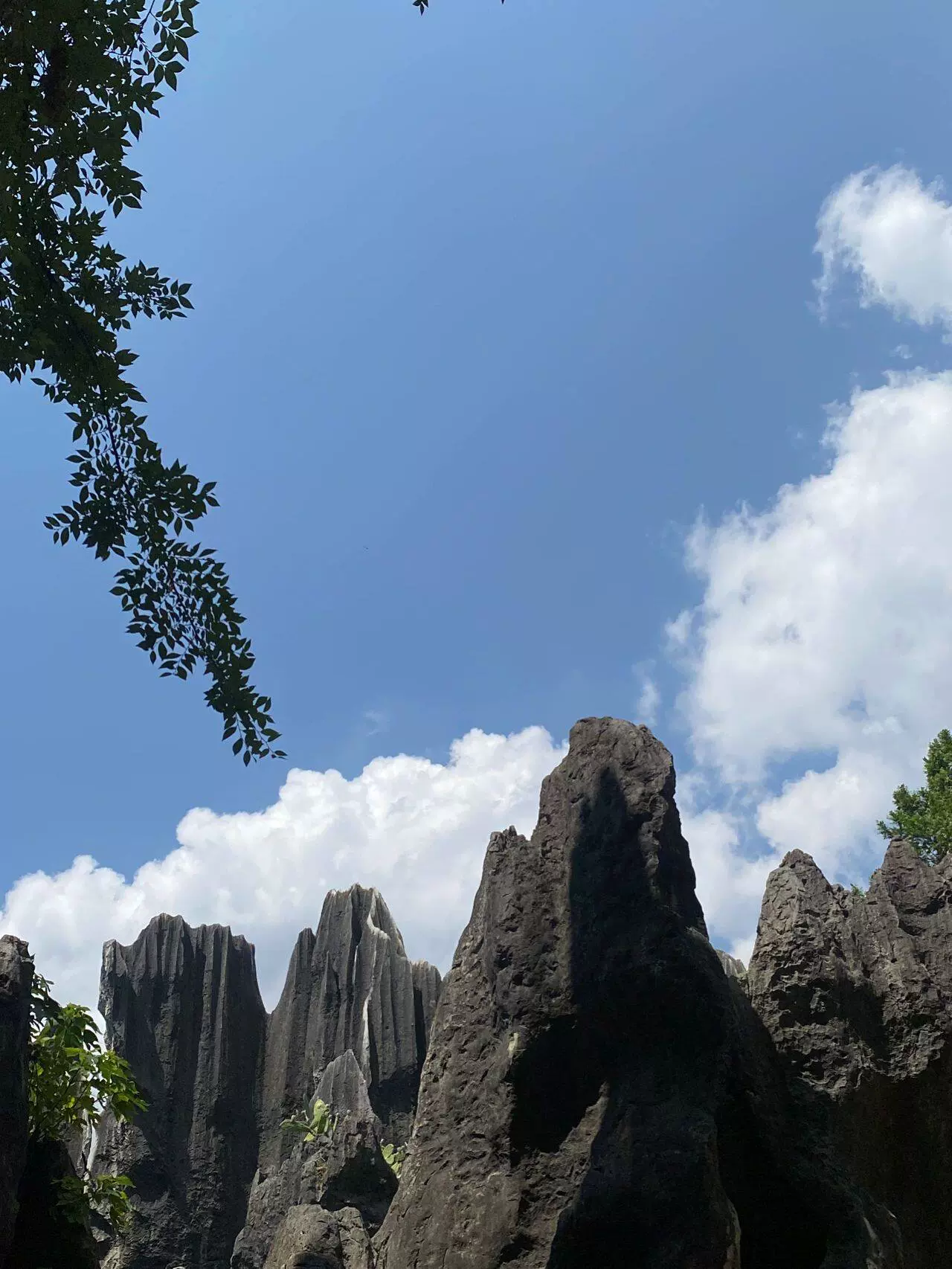 石林风景区-象距石台图片