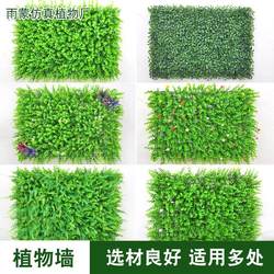 Background wall background wall plant simulation simulation green plants