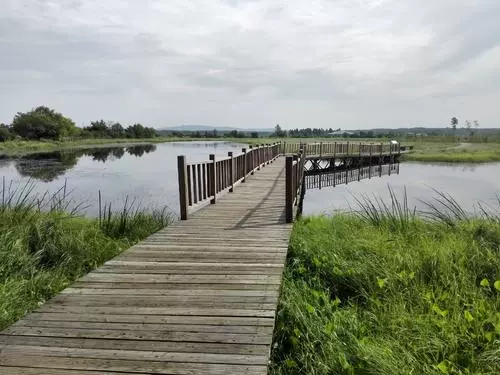 龙栖地湿地公园图片