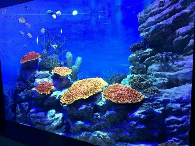 水族馆图片