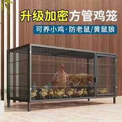 Large Reinforced Chicken Coop for Home Use, Automatic Egg Collection, Foldable Duck Coop, Dog Coop, Goose Coop, Direct from Manufacturer