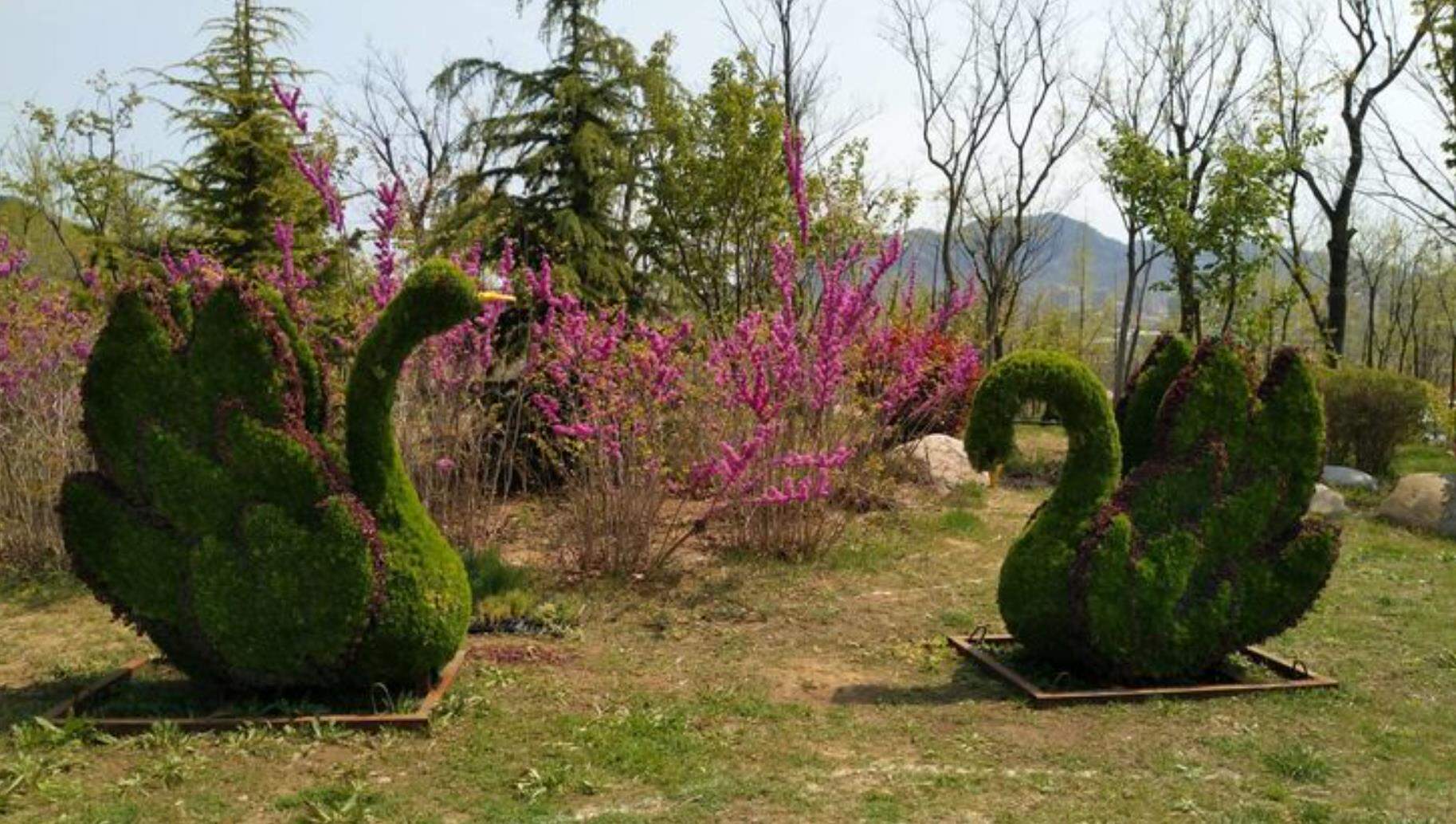 枯桃花艺生态园景区天气预报