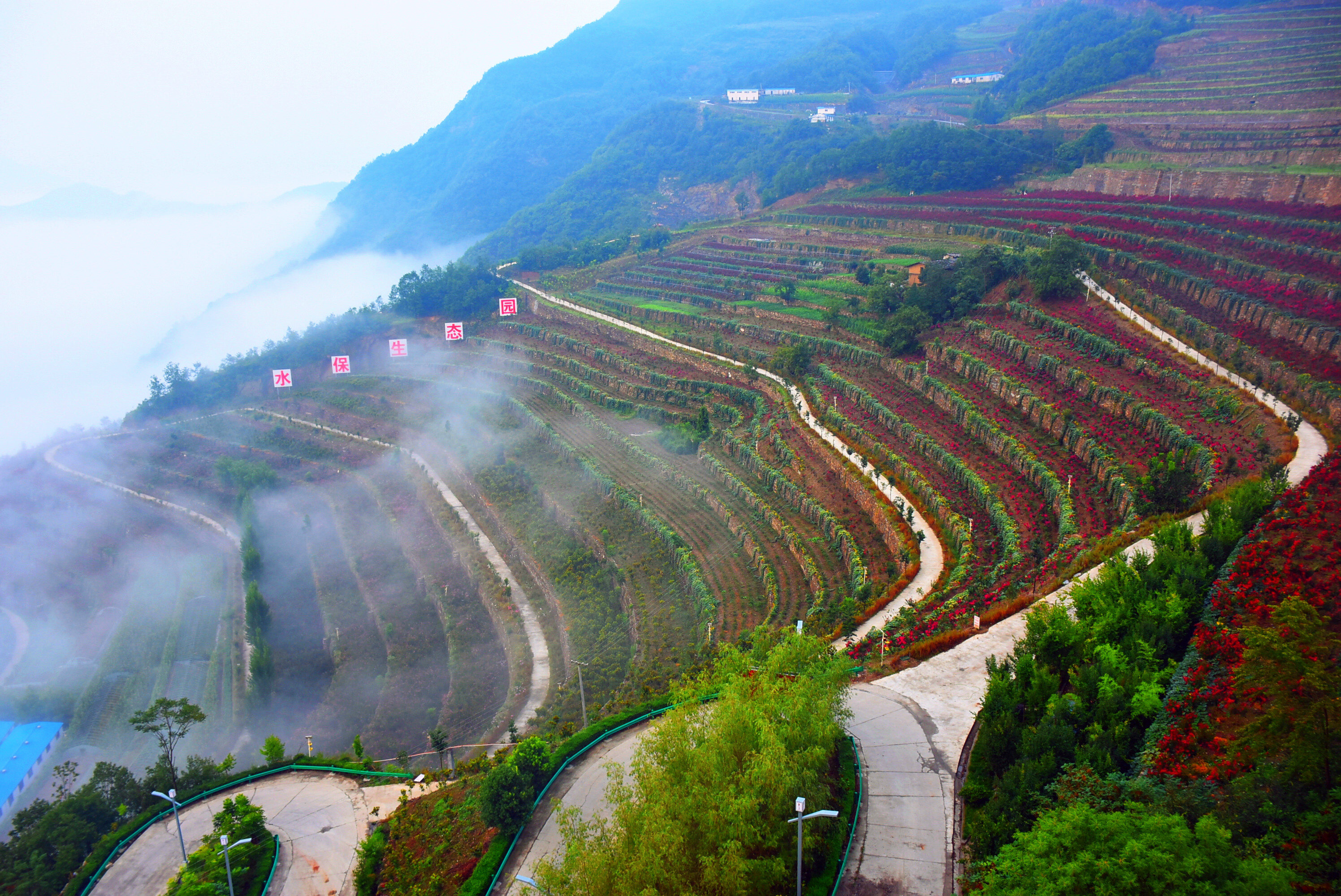 滕县抗日民主政府旧址纪念馆景区天气预报