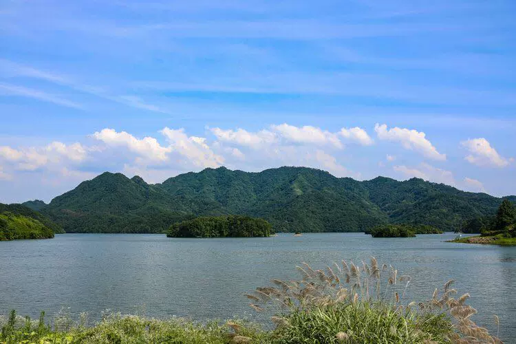 通济湖风景区图片