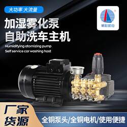 550W High-Pressure Self-Service Car Wash Machine Main Unit Humidification Atomization Pump Cleaning Spray Main Unit Copper Motor Pump Head Assembly