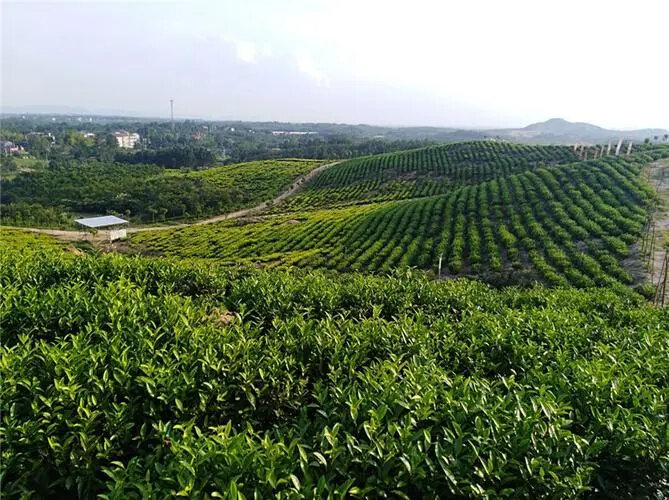 邢台丰乐园-云通寺景区天气预报