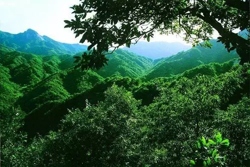 金顶山景区图片