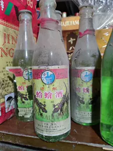 蛇酒- Top 100件蛇酒- 2024年6月更新- Taobao