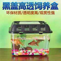 Large turtle breeding box black large and medium size breeding box portable pet box turtle tank transparent crawling pet box M-