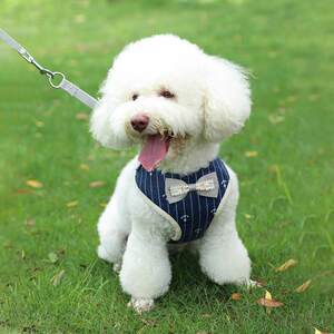 Pet cats and cat supplies anti -air -free breathable can regulate cat chest strap vest cat traction rope cat ropes
