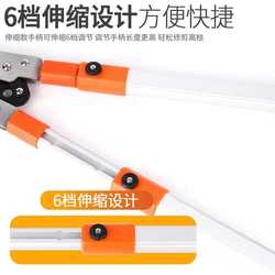 Manufacturer supplies strong pruning shears, telescopic shears, gardening tools, gardening pruning tools