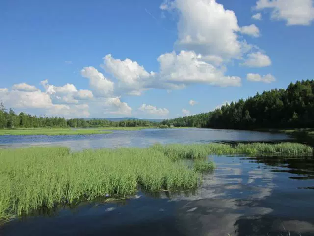 鹿鸣湖图片