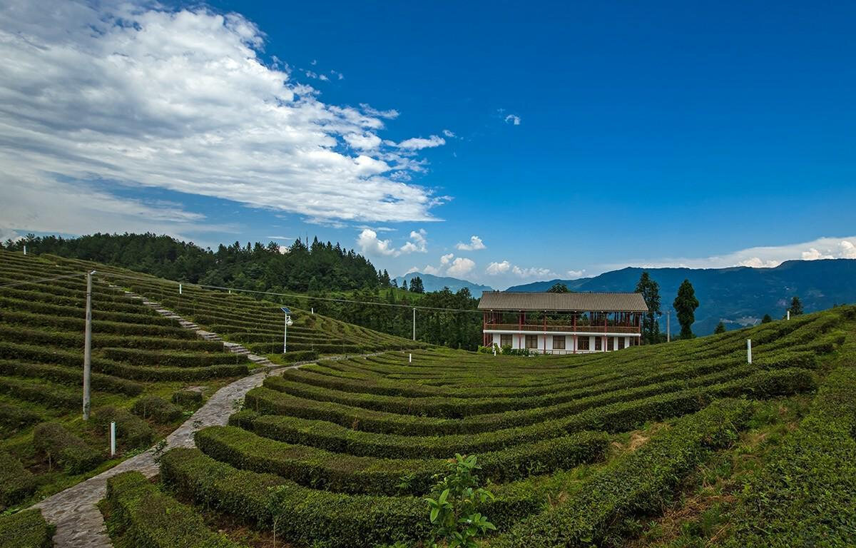 焦作市太极体育中心景区天气预报